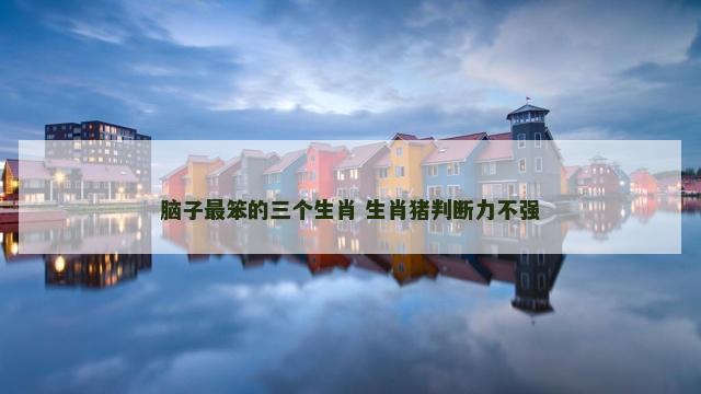 脑子最笨的三个生肖 生肖猪判断力不强