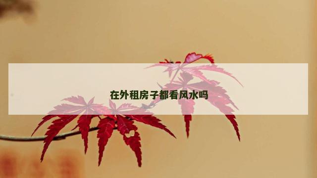 在外租房子都看风水吗