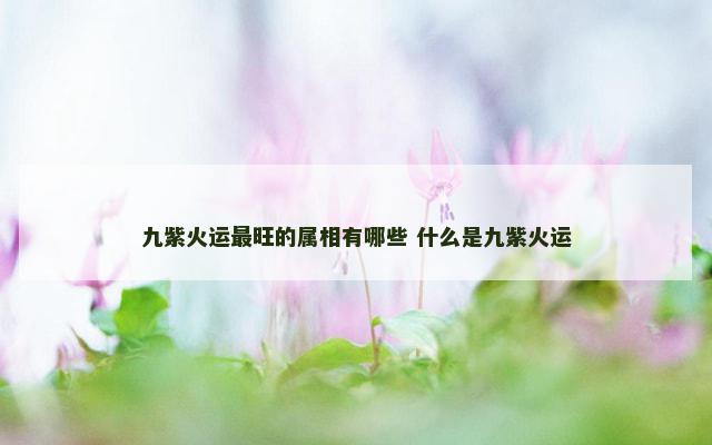 九紫火运最旺的属相有哪些 什么是九紫火运
