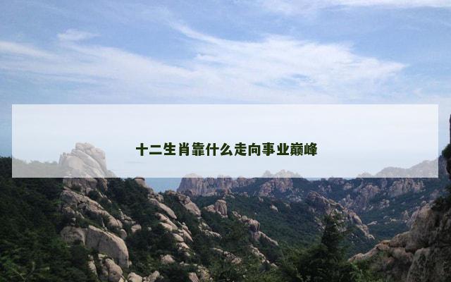 十二生肖靠什么走向事业巅峰 十二生肖靠什么走向事业巅峰