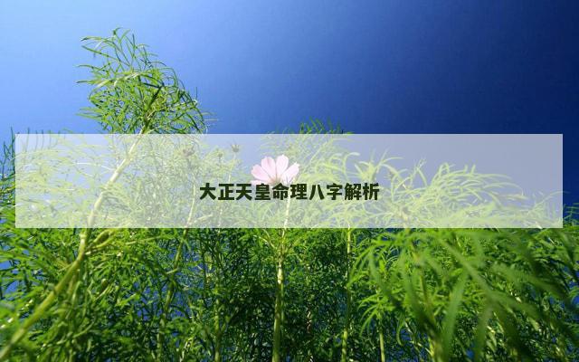 大正天皇命理八字解析