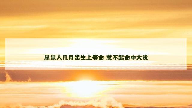 属鼠人几月出生上等命 惹不起命中大贵
