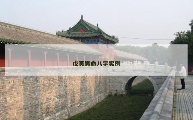 戊寅男命八字实例