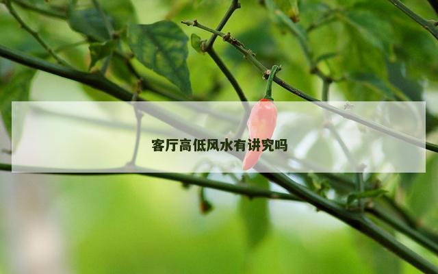 客厅高低风水有讲究吗