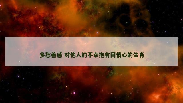 多愁善感 对他人的不幸抱有同情心的生肖