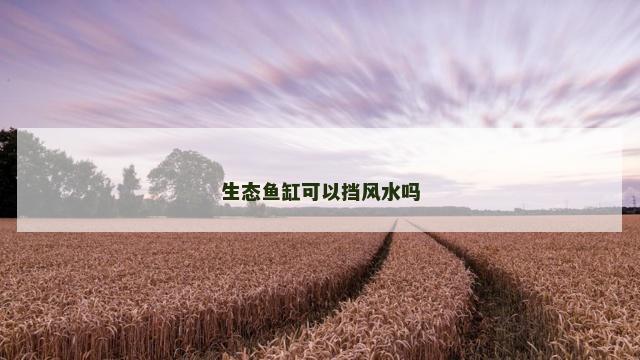 生态鱼缸可以挡风水吗