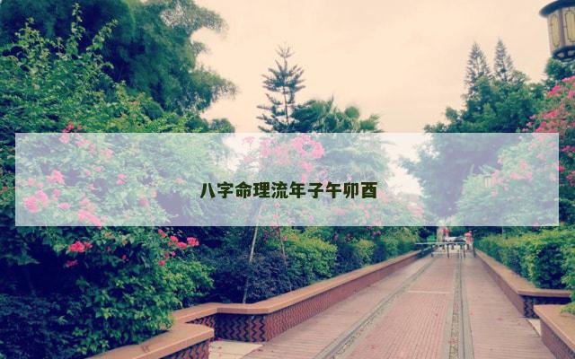 八字命理流年子午卯酉 八字命理流年子午卯酉