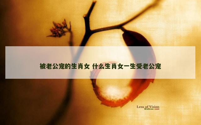 被老公宠的生肖女 什么生肖女一生受老公宠