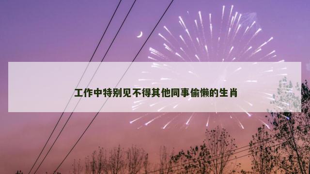 工作中特别见不得其他同事偷懒的生肖