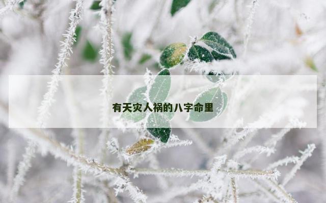 有天灾人祸的八字命里