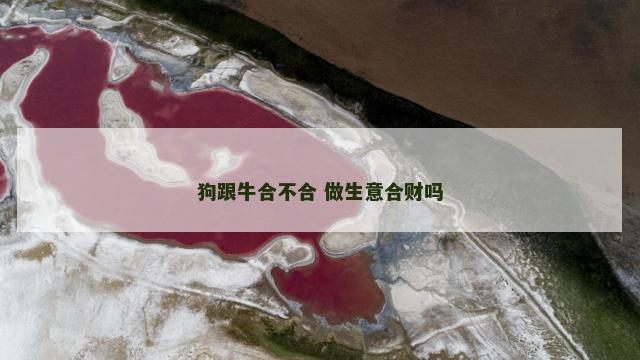 狗跟牛合不合 做生意合财吗 狗跟牛合不合 做生意合财吗