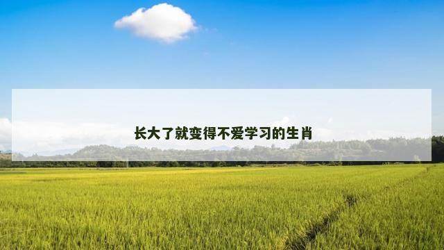长大了就变得不爱学习的生肖 长大了就变得不爱学习的生肖
