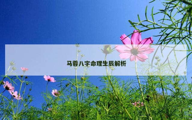 马蓉八字命理生辰解析 马蓉八字命理生辰解析