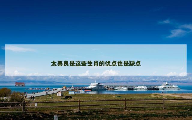 太善良是这些生肖的优点也是缺点 太善良是这些生肖的优点也是缺点