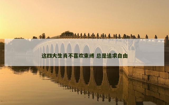 这四大生肖不喜欢束缚 总是追求自由