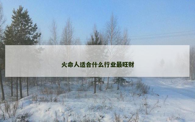 火命人适合什么行业最旺财 火命人适合什么行业最旺财
