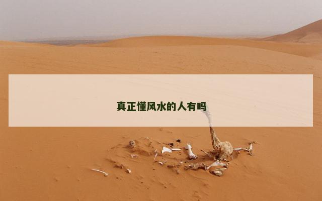 真正懂风水的人有吗