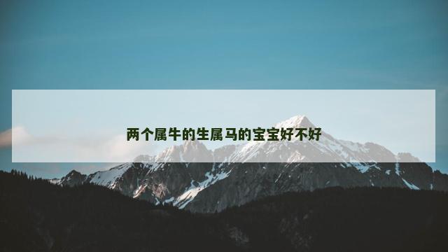 两个属牛的生属马的宝宝好不好