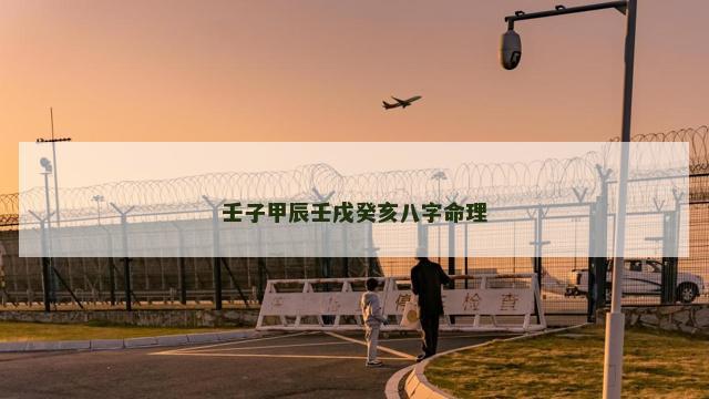 壬子甲辰壬戌癸亥八字命理 壬子甲辰壬戌癸亥八字命理