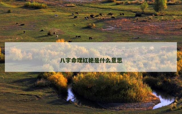 八字命理红艳是什么意思