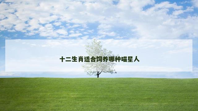 十二生肖适合饲养哪种喵星人