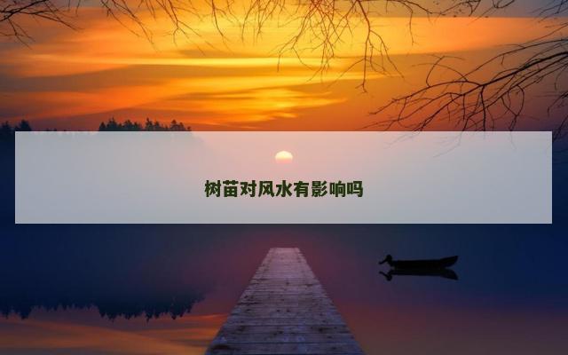 树苗对风水有影响吗