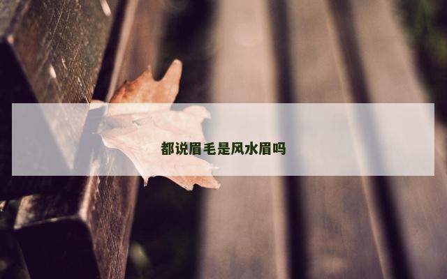 都说眉毛是风水眉吗