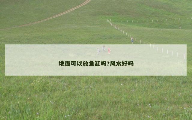 地面可以放鱼缸吗?风水好吗