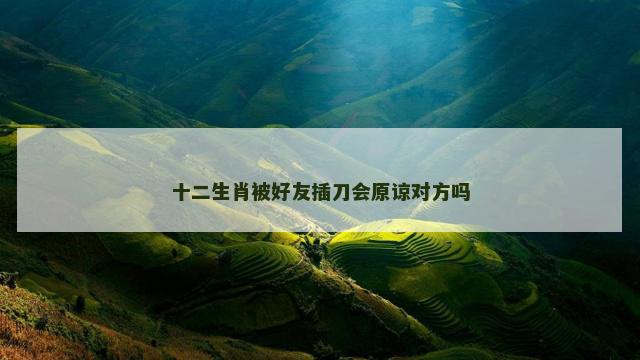十二生肖被好友插刀会原谅对方吗 十二生肖被好友插刀会原谅对方吗