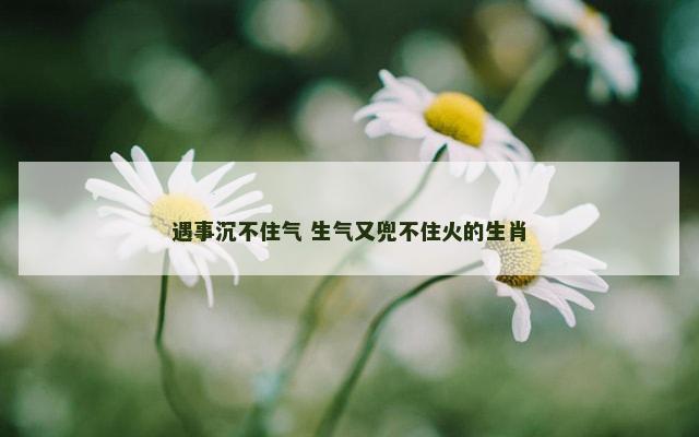 遇事沉不住气 生气又兜不住火的生肖 遇事沉不住气 生气又兜不住火的生肖