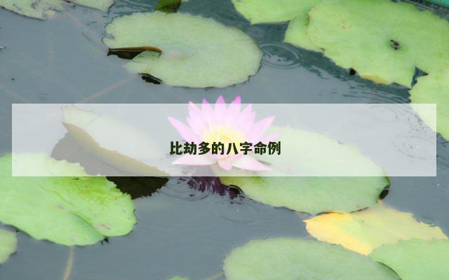 比劫多的八字命例 比劫多的八字命例