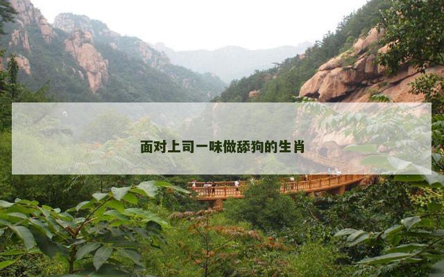 面对上司一味做舔狗的生肖