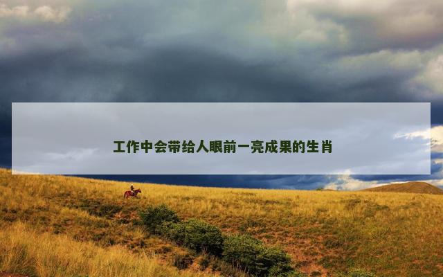 工作中会带给人眼前一亮成果的生肖