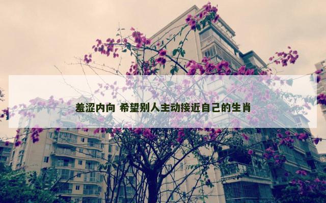 羞涩内向 希望别人主动接近自己的生肖 羞涩内向 希望别人主动接近自己的生肖