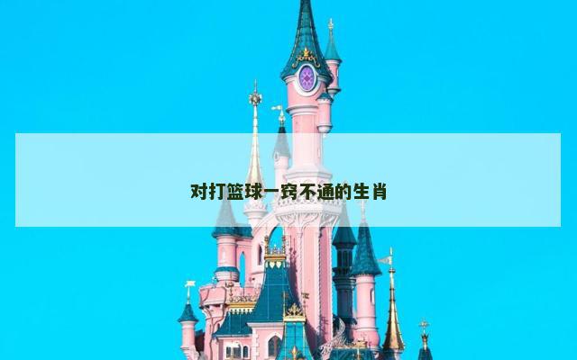 对打篮球一窍不通的生肖