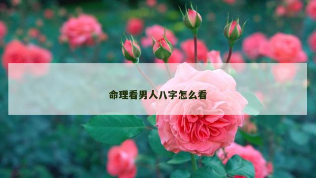 命理看男人八字怎么看