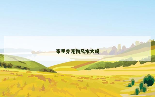 家里养宠物风水大吗