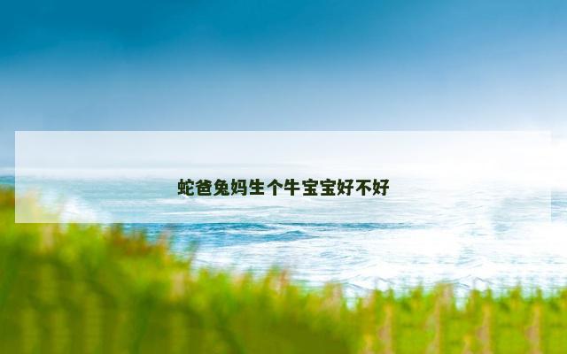 蛇爸兔妈生个牛宝宝好不好