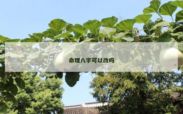 命理八字可以改吗 命理八字可以改吗