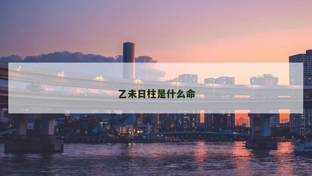 乙未日柱是什么命