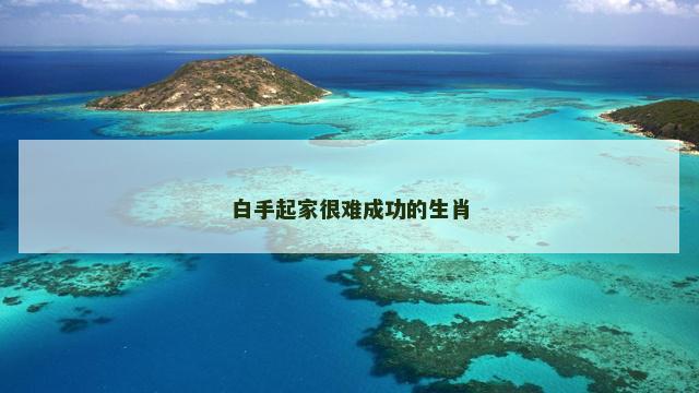 白手起家很难成功的生肖
