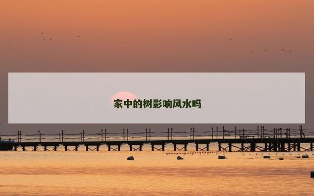 家中的树影响风水吗