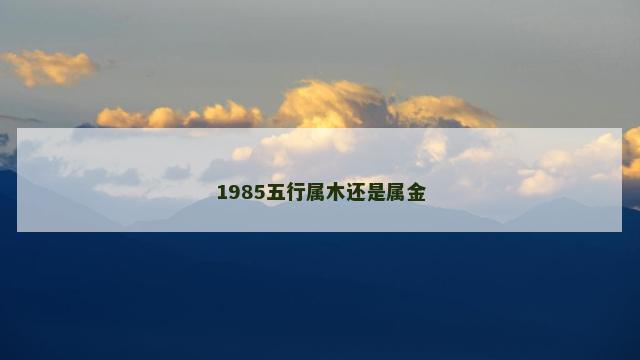 1985五行属木还是属金
