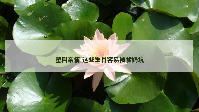 塑料亲情 这些生肖容易被爹妈坑