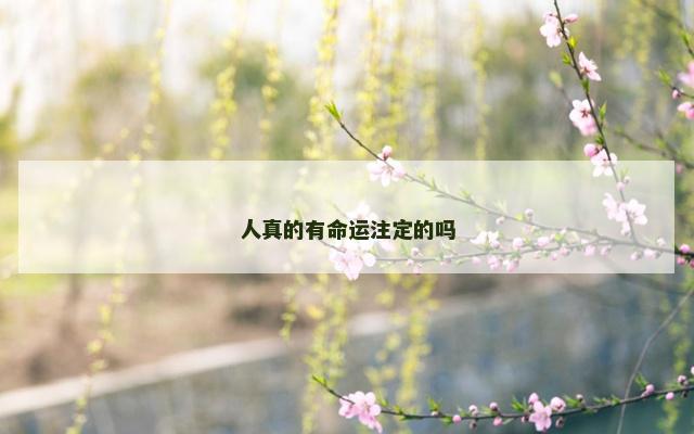 人真的有命运注定的吗
