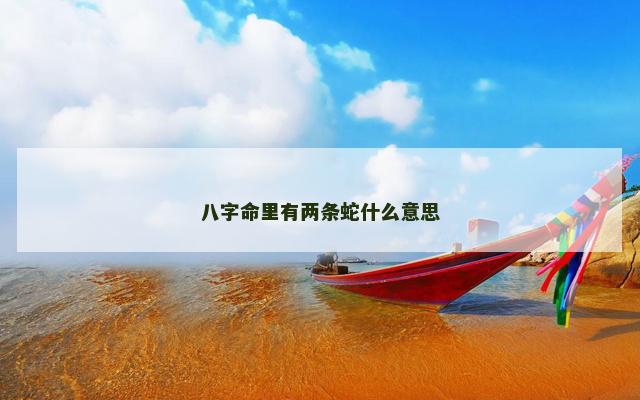 八字命里有两条蛇什么意思