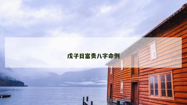 戊子日富贵八字命例