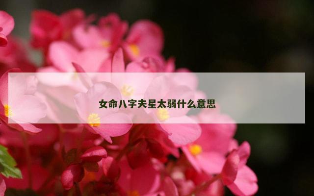 女命八字夫星太弱什么意思
