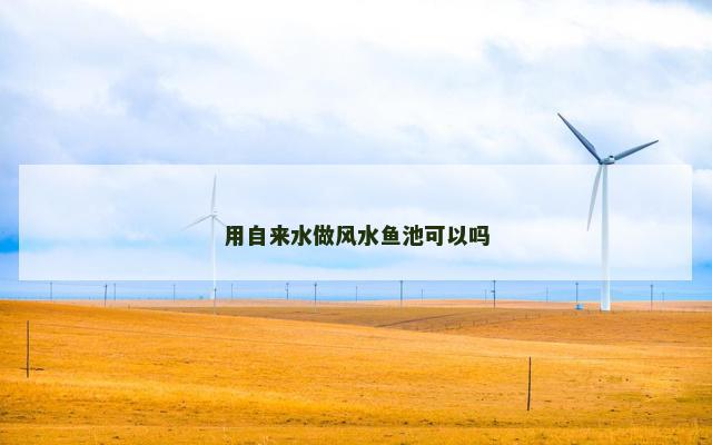 用自来水做风水鱼池可以吗