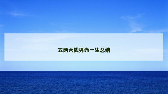 五两六钱男命一生总结